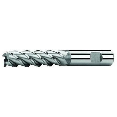 ZPS-FN Fréza válcová čelní ZPS, Z4, DIN 844L, HSSCo8, s upnutím weldon, N Rozměr: 30x90x166 mm