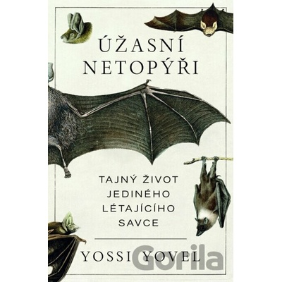 Úžasní netopýři - Yossi Yovel