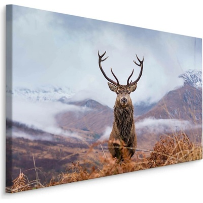 MyBestHome BOX Plátno Jelen A Zimní Hory Varianta: 100x70