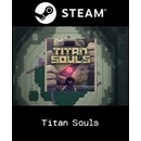 Hry na PC Titan Souls