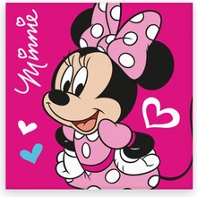Aptex detský froté uterák Minnie 30 x 30 cm vzorovaný