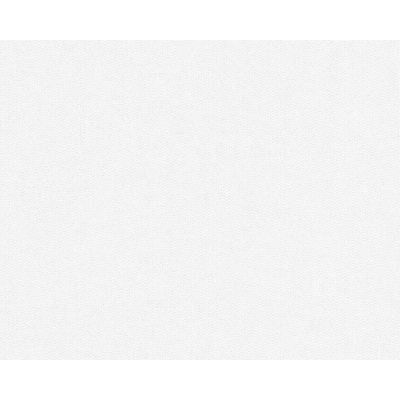 A.S. Création 305916 přetíratelné tapety na zeď Meistervlies Protect 4 rozměry 1,06 x 25 m