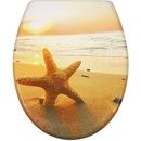 Schütte - SEASTAR82373