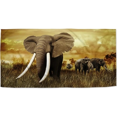 Sablio Uterák Slon Africký 50 x 100 cm