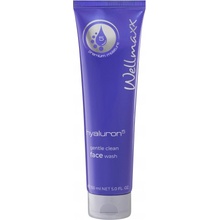 Wellmaxx Hyaluron5 gentle clean face wash čistiaca emulzia 150 ml