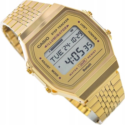 Casio ABL-100WEG-9A