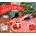 WORKMAN Have yourself a meowy catmas advent cale | shelman jamie