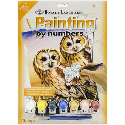 Malování podle čísel Sovy