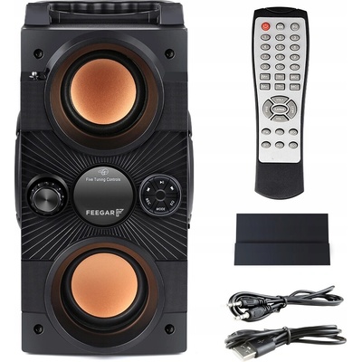 Feegar Dance 4000mah Radio USB SD AUX jack 3 5