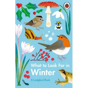 What to Look For in Winter | Elizabeth Jenner (ISBN: 9780241416228)