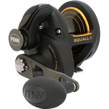 Penn Squall II 25NLD