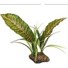 Komodo list Broadleaf Canopy 26 cm