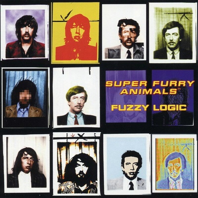 SUPER FURRY ANIMALS: FUZZY LOGIC - 20TH ANNIVERSARY CD