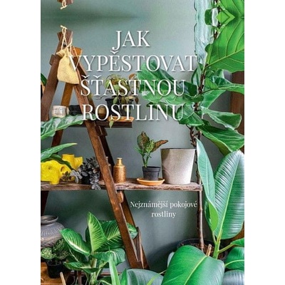 Jak vypěstovat šťastnou rostlinu