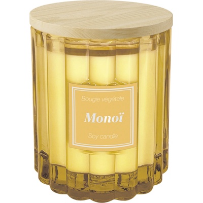 Esprit Provence Monoi 190 g