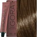 Farby na vlasy Schwarzkopf Igora Color 10 5-0 svetlo hnedá 60 ml