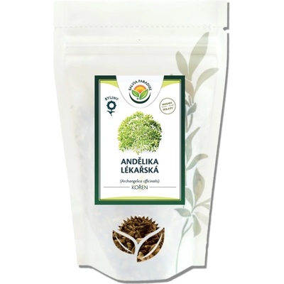 Salvia Paradise Andělika lékařská kořen 1 kg