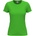 Stedman classic-t st2600 / Дамска тениска - киви m (st2600kiwm)