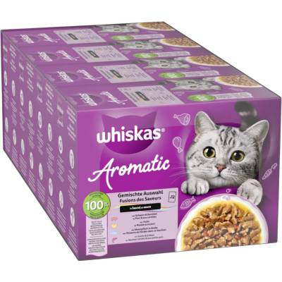 Whiskas 1+ Aromatic Selection 2 x 48 ks 96 x 85 g míchané balení v omáčce