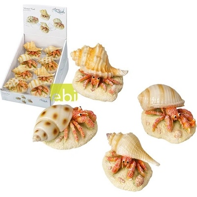 Europet Bernina Aqua Della Hermit Crab mix 9,3x6x4,9 cm