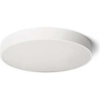 Rendl R13334