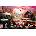 SunsOut - Puzzle Holiday Camping - 550 piese