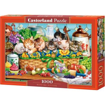 Castorland Пъзел Castorland от 1000 части - Задрямали котенца (C-105069-2)