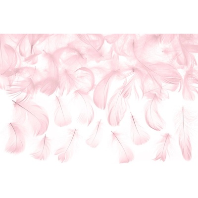 Party Deco Декоративни Пера, Розови, 3 гр