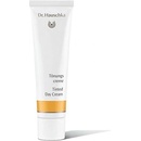 Pleťové krémy Dr. Hauschka Tinted Day Cream 30 ml