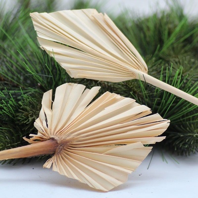Palm spear mini bleched - 30ks