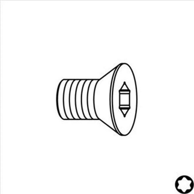 IGM F099-12501 - Náhradní šroub M2,5x5,5 Torx T 8