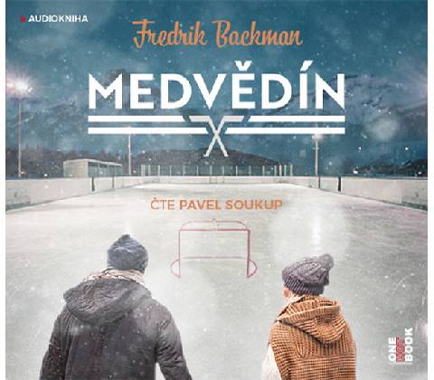 Medvědín