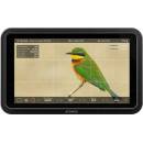 Atomos Shinobi II