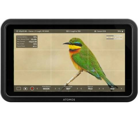 Atomos Shinobi II