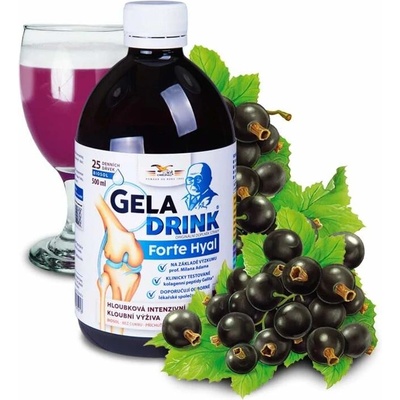Orling Geladrink Forte Hyal biosol černý rybíz 500 ml