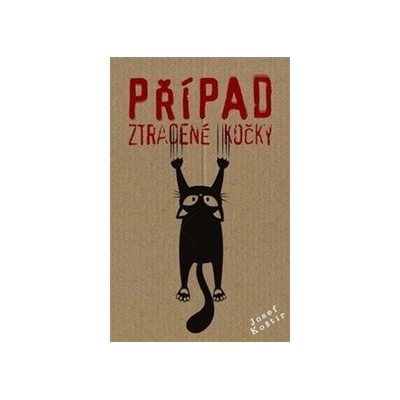 Případ ztracené kočky