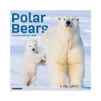 Willow Creek Press Calendars Polar Bears 12 X 12 Wall Calendar | Willow Creek Press