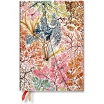 Paperblanks 2027 Anemone MIDI Horizontal Hardcover 12-Month Weekly Planner, 160pg, 100gsm by Paperblanks (William Kilburn)