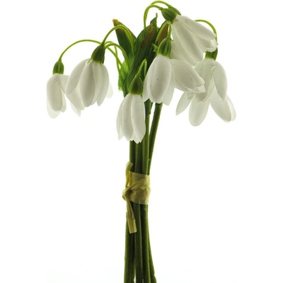Sněženka svazek x6 krémová 18 cm