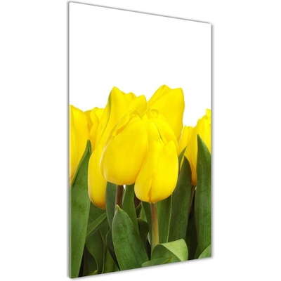 Vertikálny fotoobraz na skle Žlté tulipány 50x100 cm