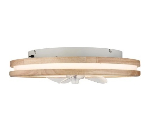 Globo 03650