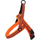 ACTIVE DOG postroj Neoprene