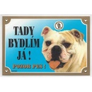 Dafiko Barevná cedulka Pozor pes - Buldog anglický