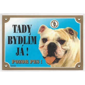 Dafiko Barevná cedulka Pozor pes - Buldog anglický