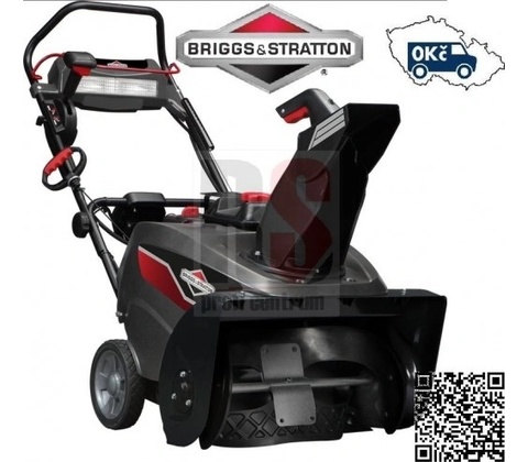 Briggs & Stratton BS822E
