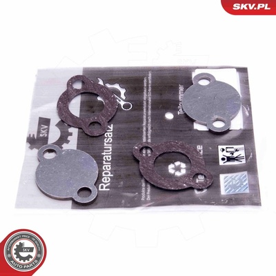 Súprava na opravu, ventil AGR ESEN SKV 14SKV578 14SKV578