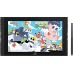 XPPen Artist 12 (Gen 3) (CPCD121FH-BK)