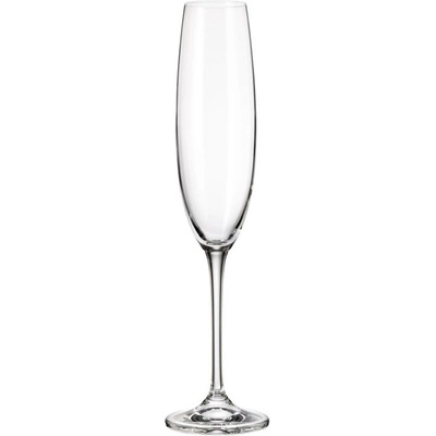 CRYSTALITE BOHEMIA BOHEMIA FULICA SKLENICE NA ŠAMPAŇSKÉ 6 x 250 ml