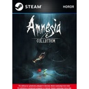 Amnesia Collection