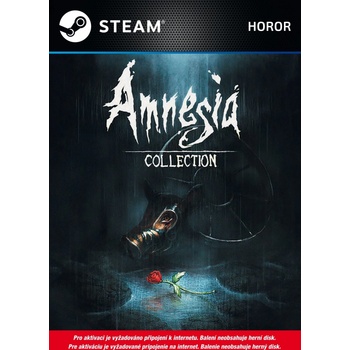 Amnesia Collection